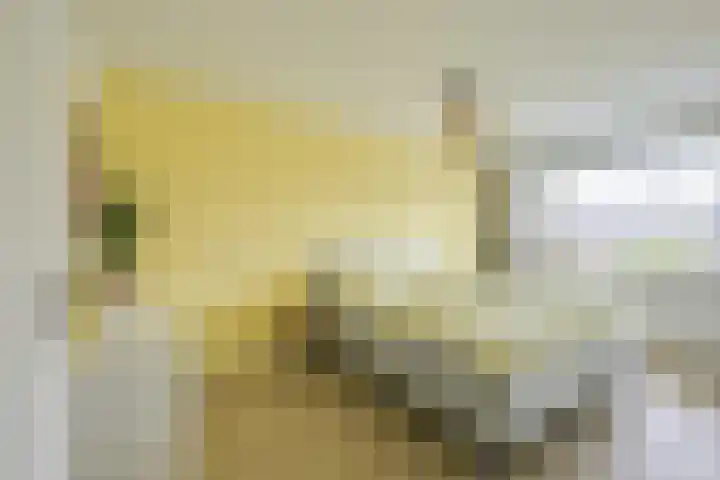 Regenmeer 1 Houten thumbnail 21