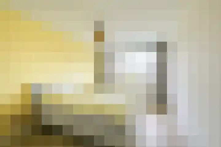 Regenmeer 1 Houten thumbnail 22
