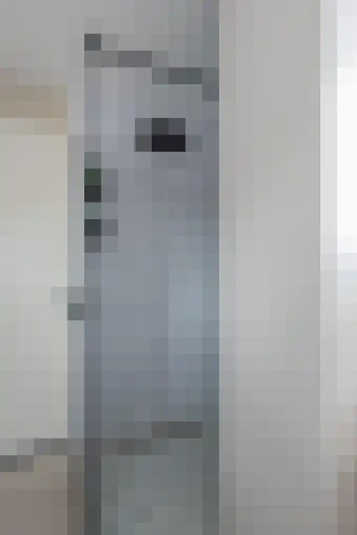 Regenmeer 1 Houten thumbnail 27