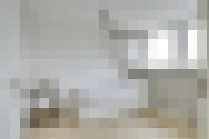 Regenmeer 1 Houten thumbnail 34