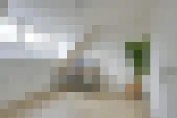 Regenmeer 1 Houten thumbnail 36