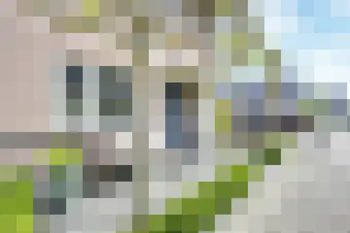 Regenmeer 1 Houten thumbnail 41