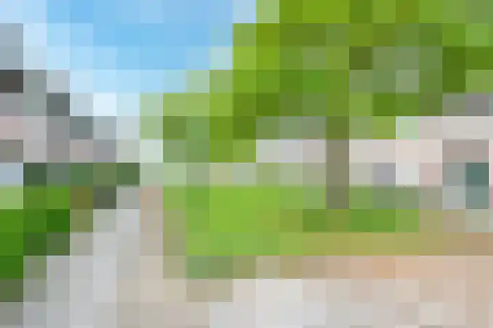 Regenmeer 1 Houten thumbnail 44