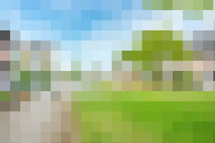 Regenmeer 1 Houten thumbnail 45
