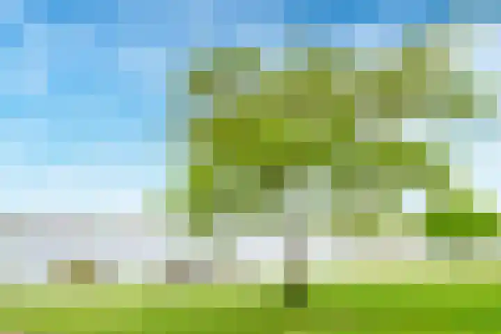 Regenmeer 1 Houten thumbnail 46