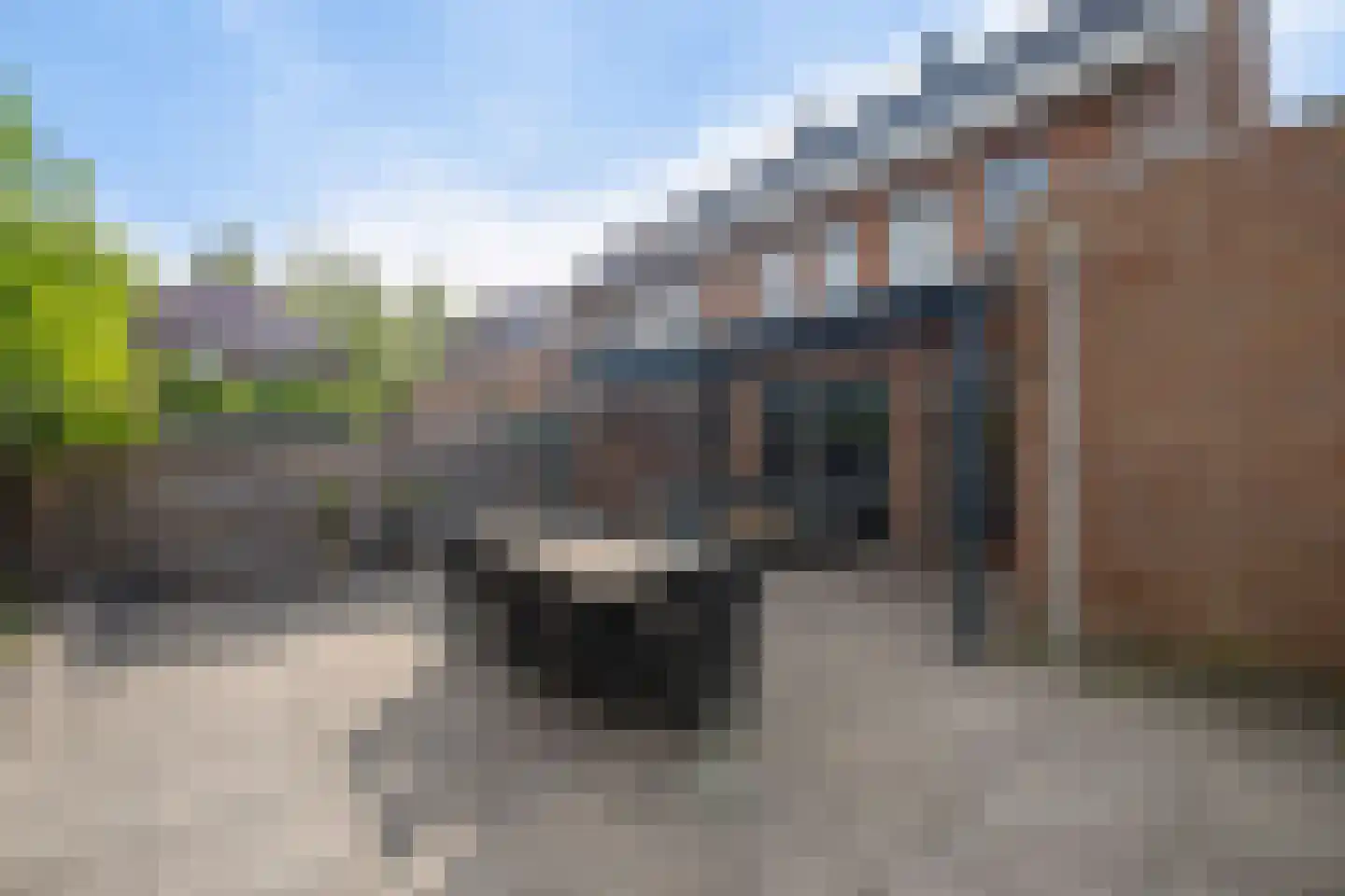 Regent 4 Heerenveen thumbnail 39