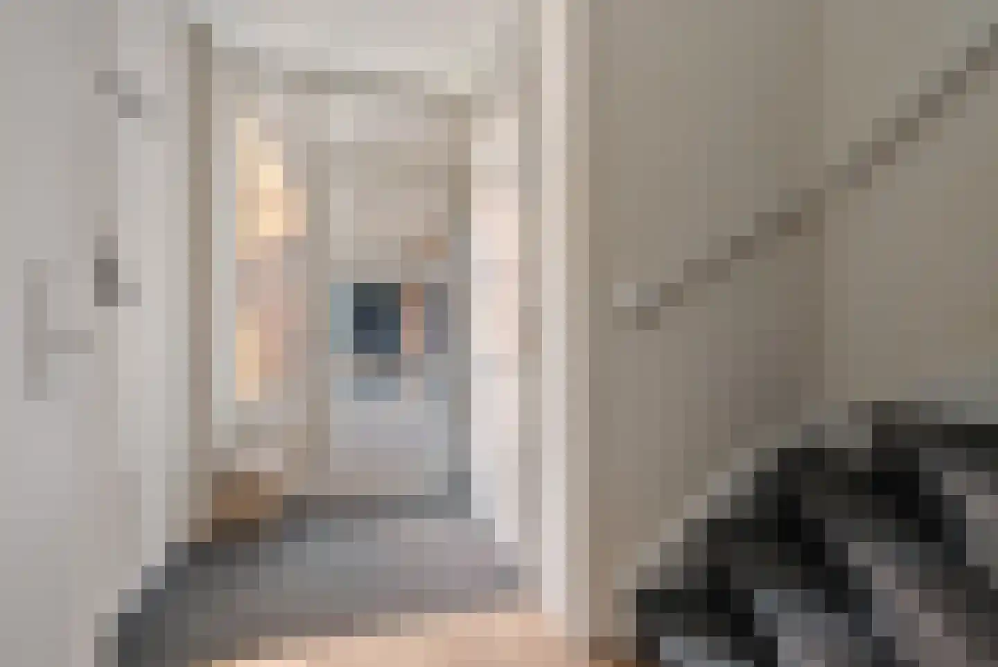 Regent 4 Heerenveen thumbnail 9