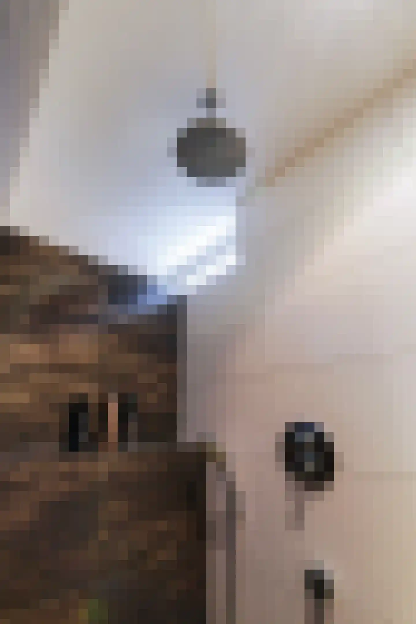Regent Smitsstraat 38 Sint-Michielsgestel thumbnail 34
