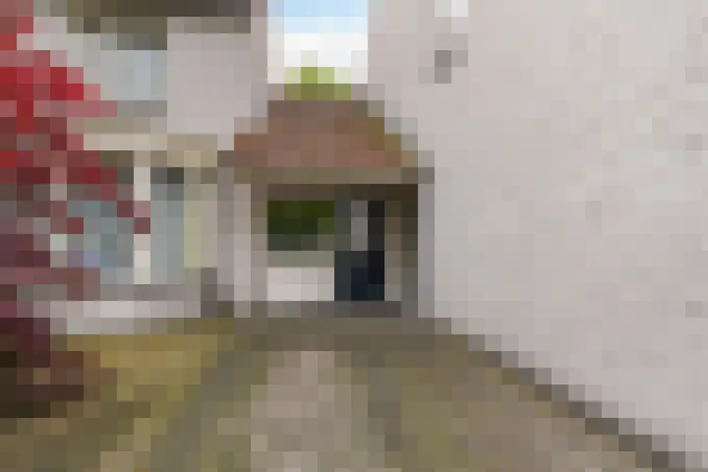 Regent Smitsstraat 38 Sint-Michielsgestel thumbnail 48