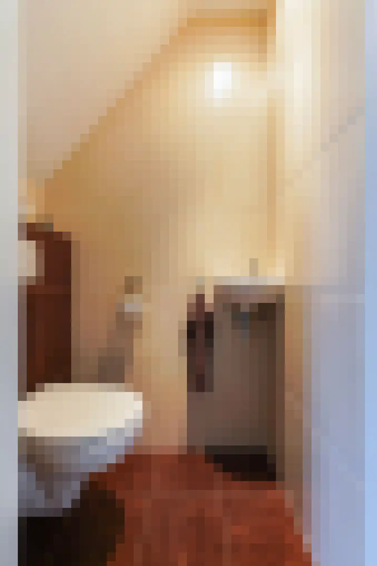 Regent Smitsstraat 38 Sint-Michielsgestel thumbnail 8