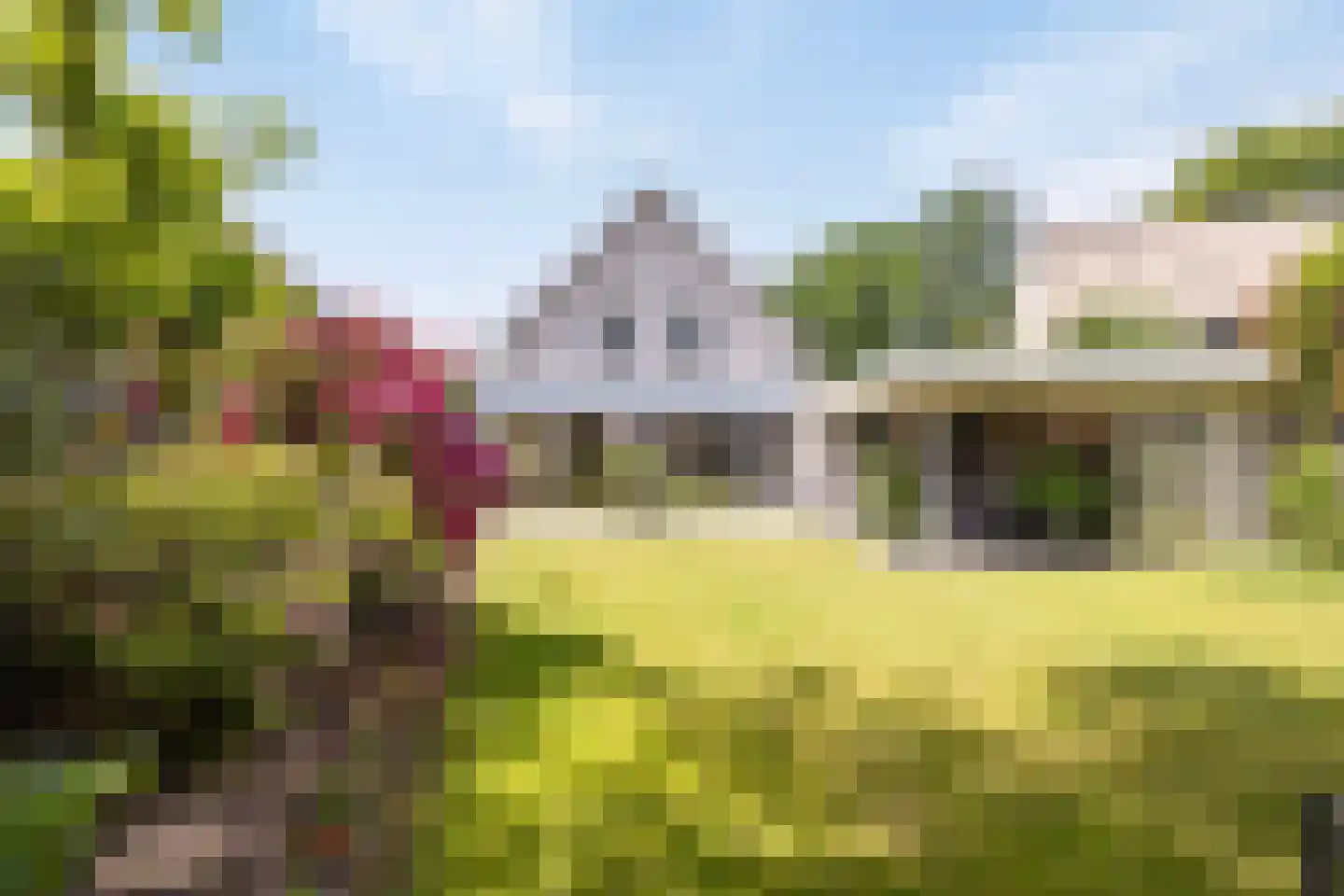 Regent Smitsstraat 52 Sint-Michielsgestel thumbnail 53