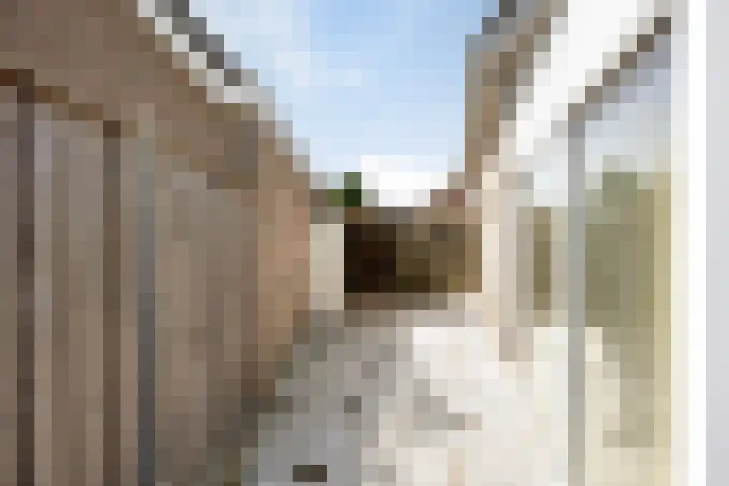 Regent Smitsstraat 52 Sint-Michielsgestel thumbnail 54
