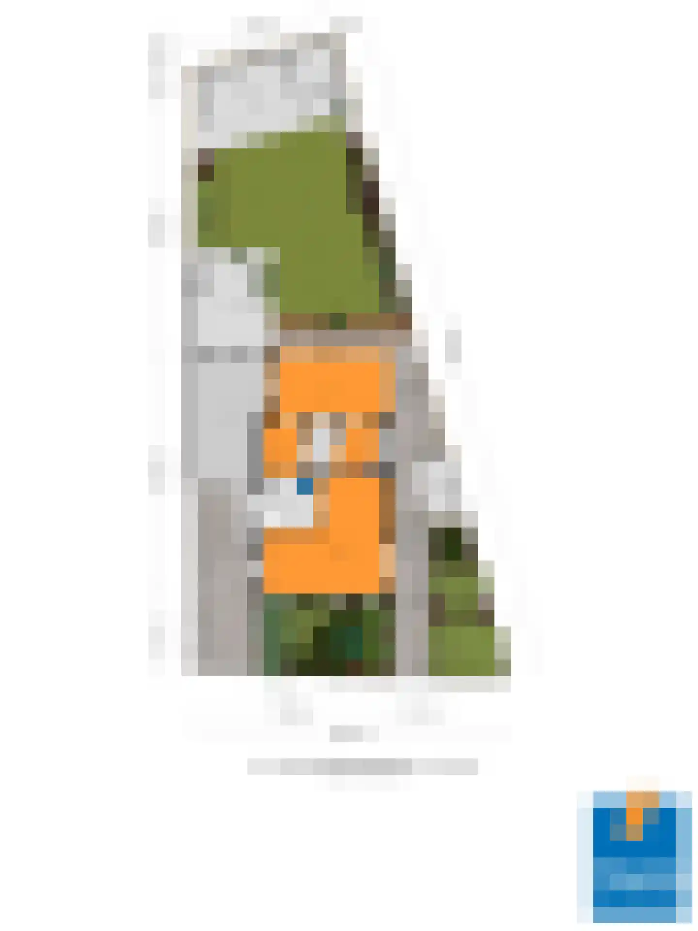 Regent Smitsstraat 52 Sint-Michielsgestel thumbnail 61
