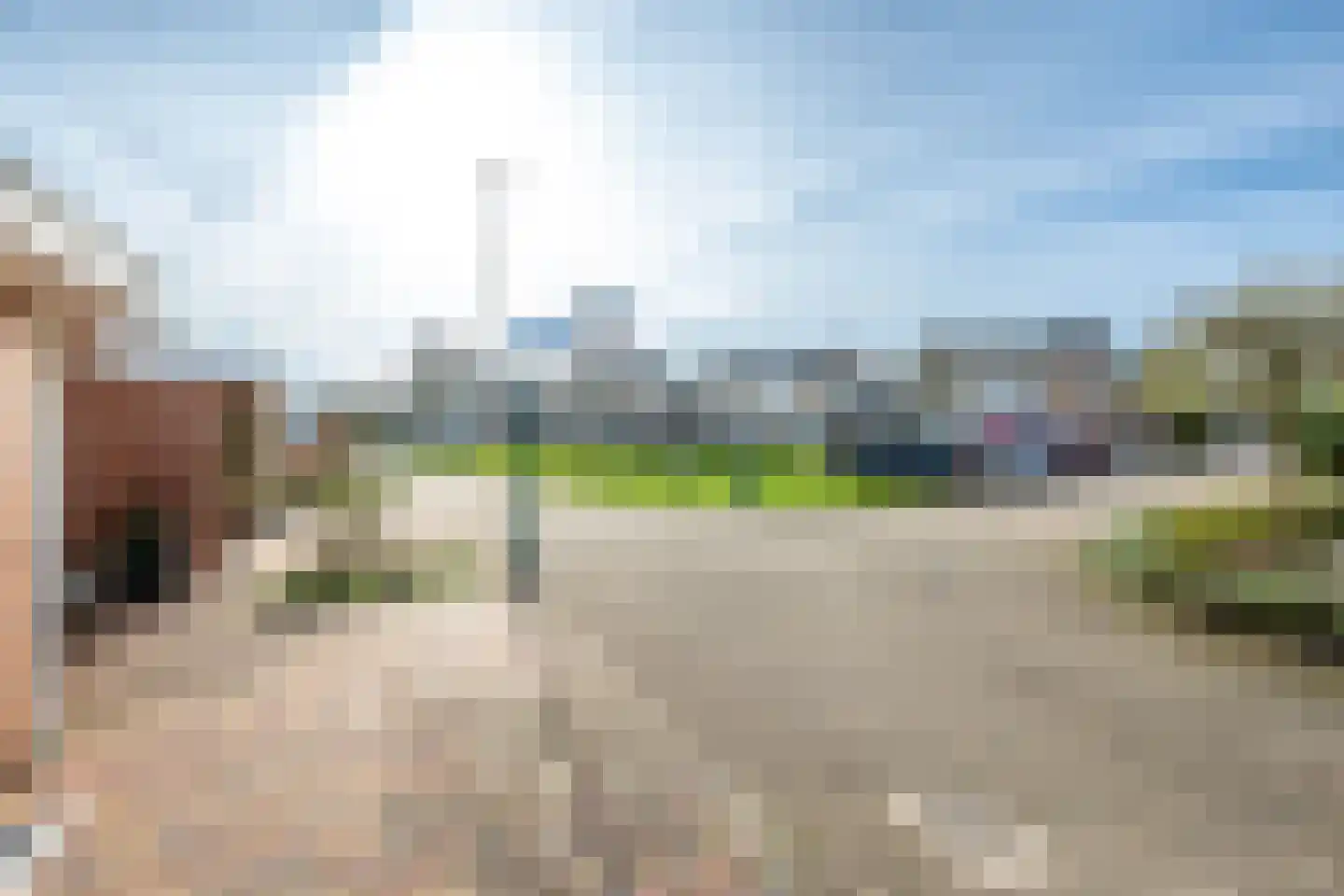Regentenland 23 Houten thumbnail 40