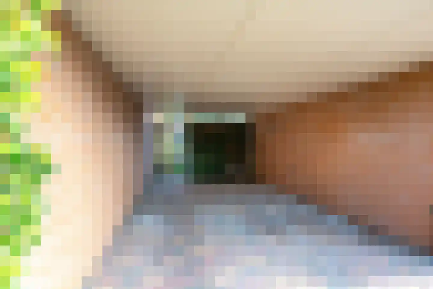 Regentenland 23 Houten thumbnail 46
