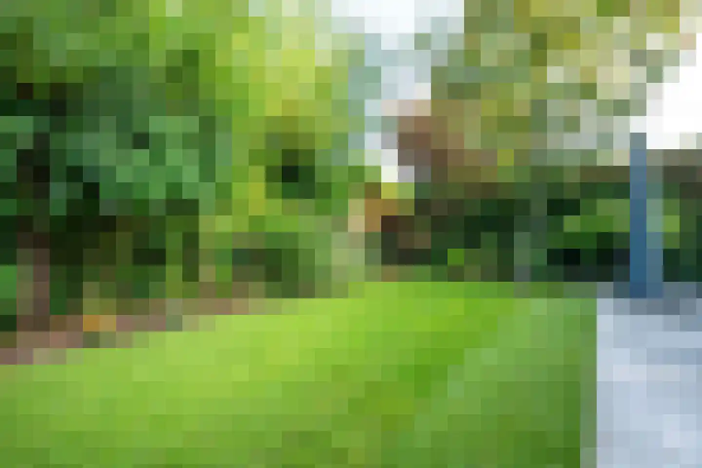 Regentenland 35 Houten thumbnail 25