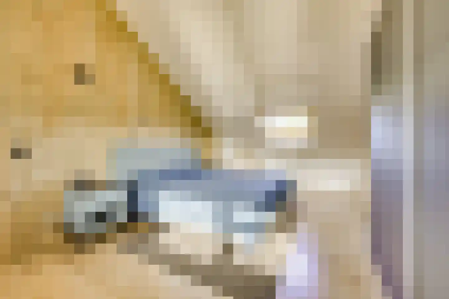 Regentenland 35 Houten thumbnail 29