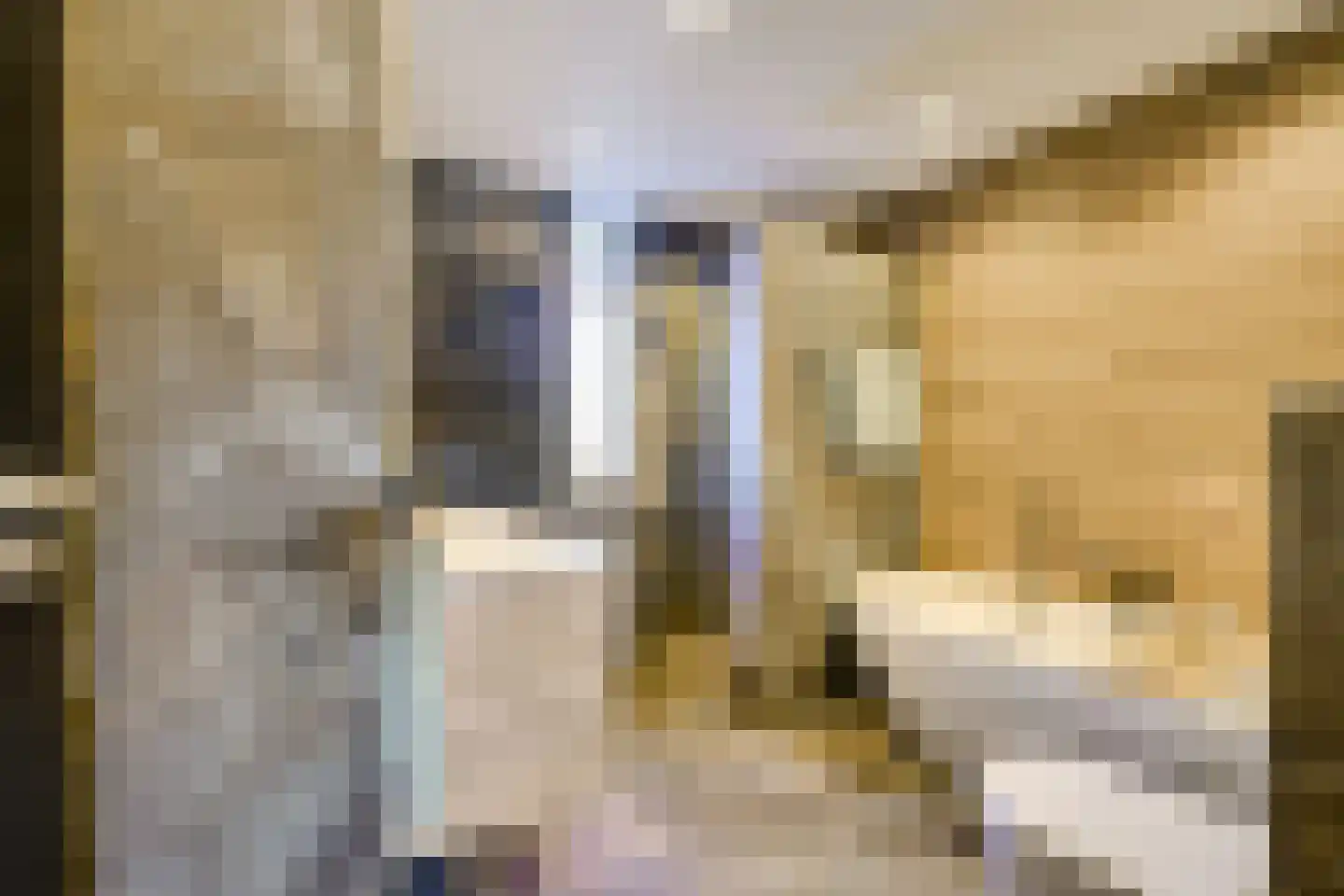 Regentenland 35 Houten thumbnail 33
