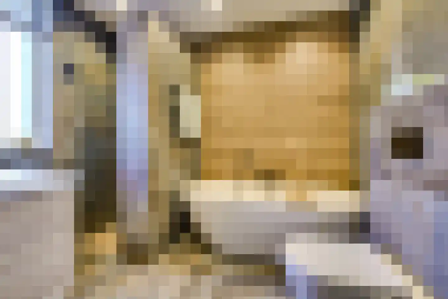 Regentenland 35 Houten thumbnail 34