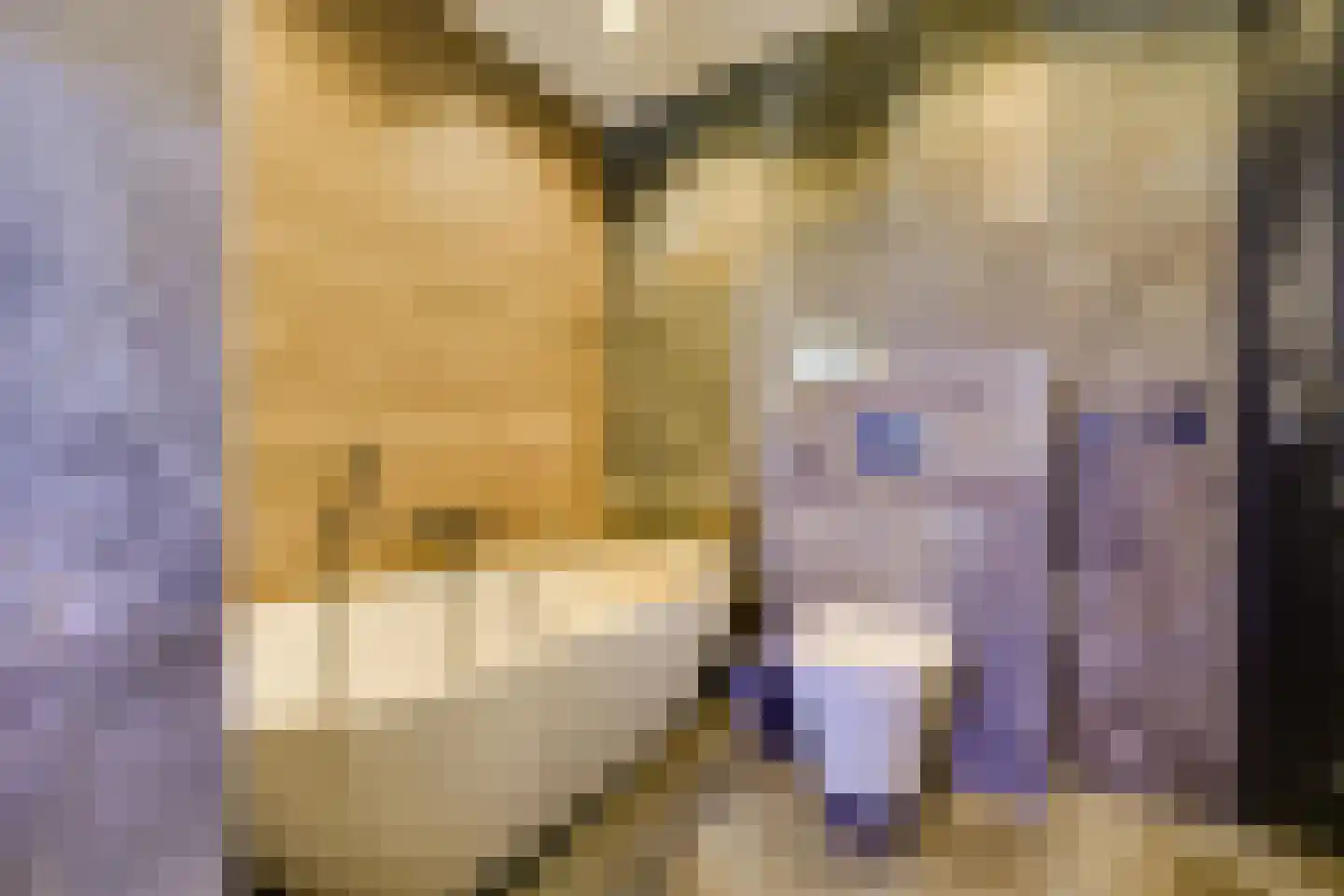Regentenland 35 Houten thumbnail 35
