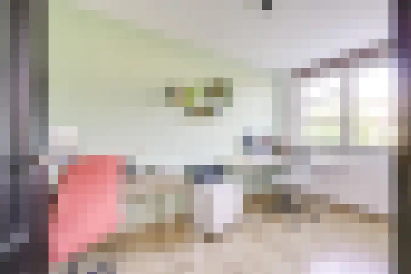 Regentenland 35 Houten thumbnail 38