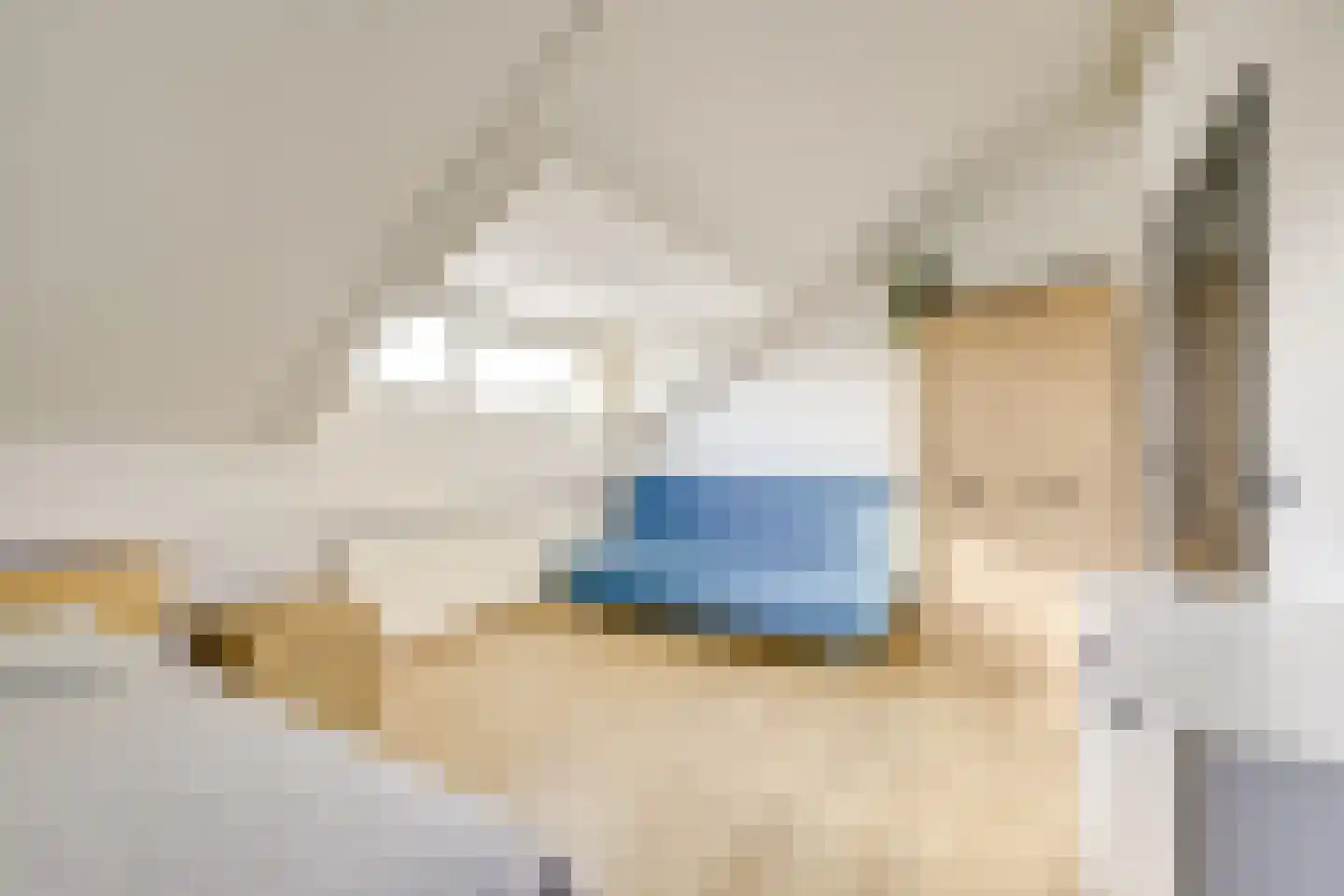 Regentenland 35 Houten thumbnail 44