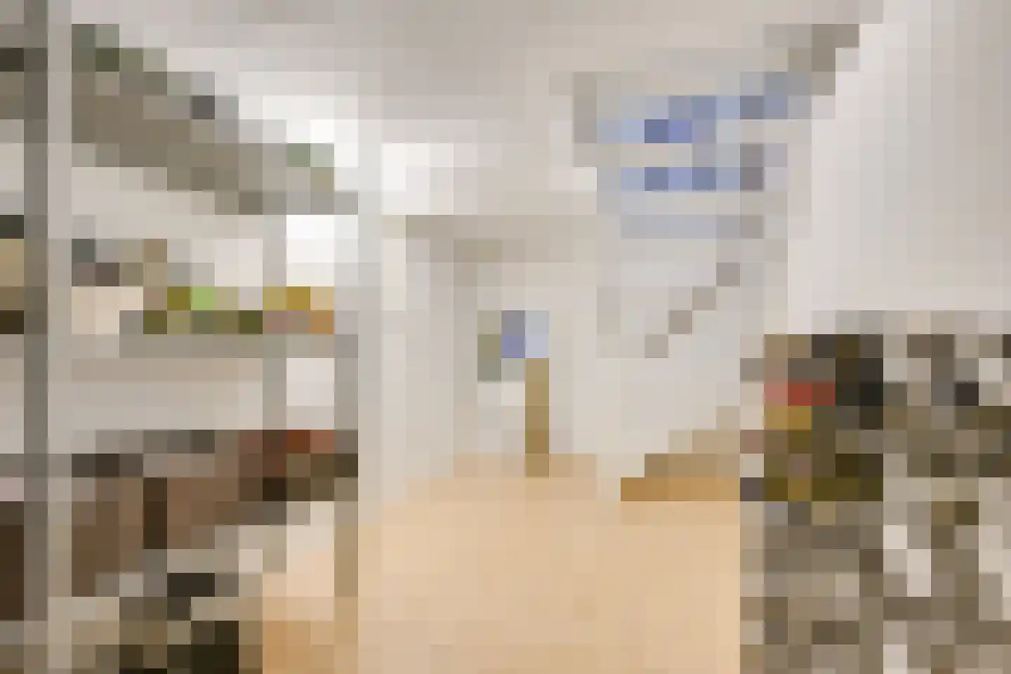 Regentenland 35 Houten thumbnail 51