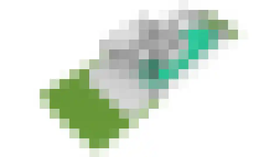 Regentenland 35 Houten thumbnail 75