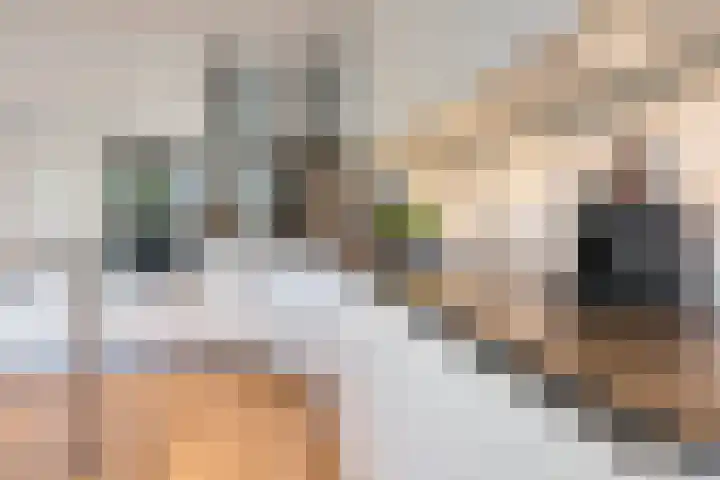 Regentenland 41 Houten thumbnail 10