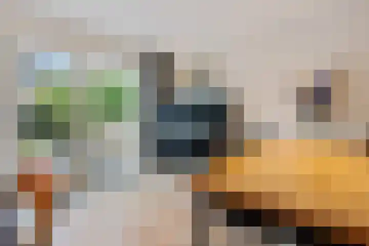 Regentenland 41 Houten thumbnail 11