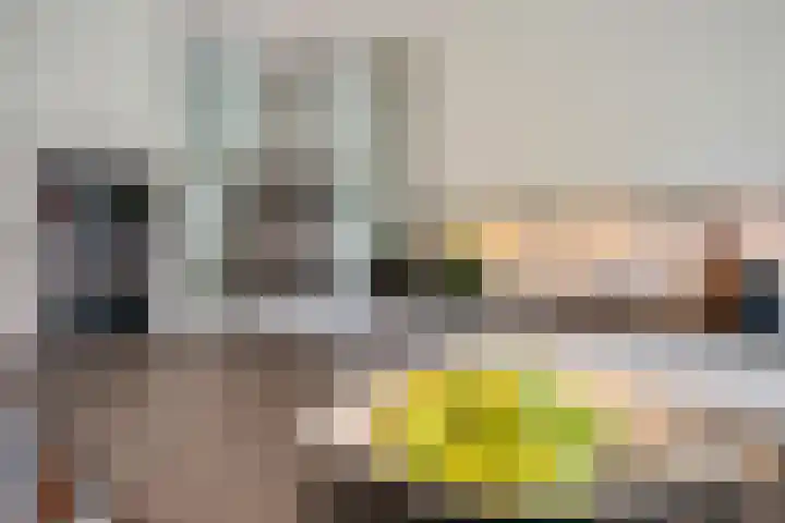 Regentenland 41 Houten thumbnail 13