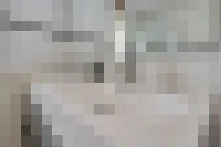 Regentenland 41 Houten thumbnail 18