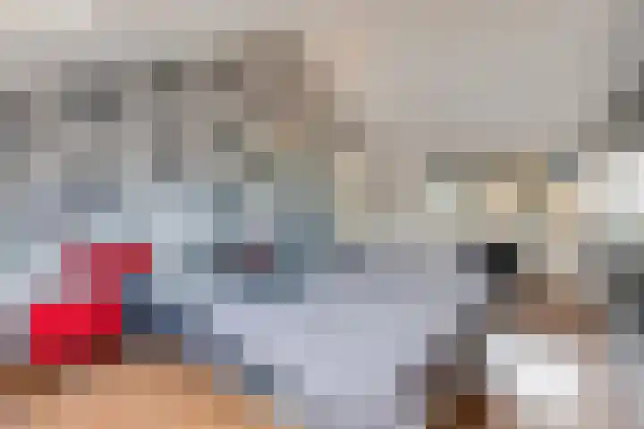 Regentenland 41 Houten thumbnail 20