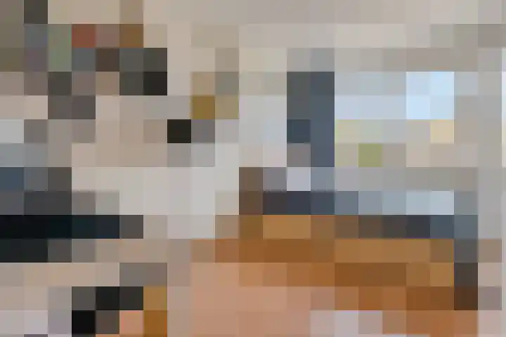 Regentenland 41 Houten thumbnail 23