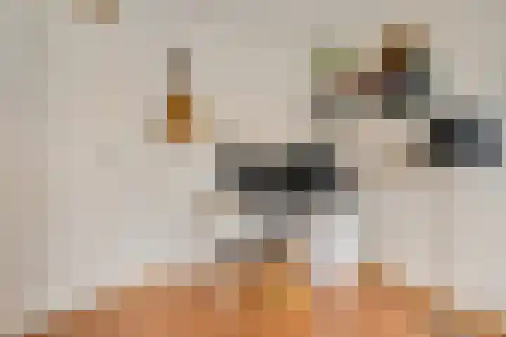 Regentenland 41 Houten thumbnail 24