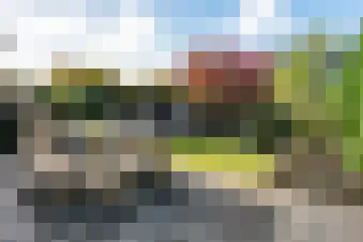 Regentenland 41 Houten thumbnail 31