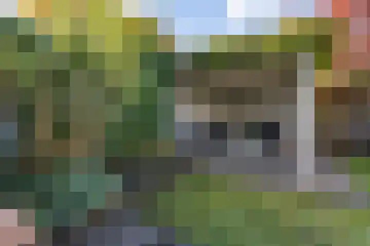 Regentenland 41 Houten thumbnail 32