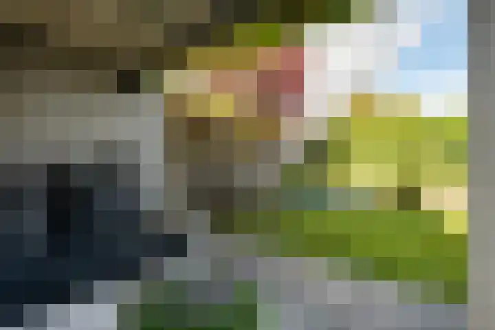 Regentenland 41 Houten thumbnail 33