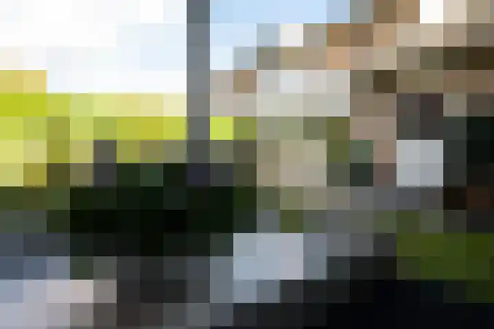 Regentenland 41 Houten thumbnail 34