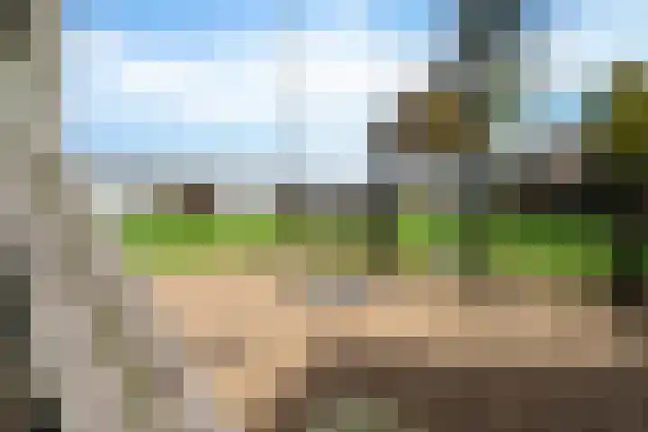 Regentenland 41 Houten thumbnail 36