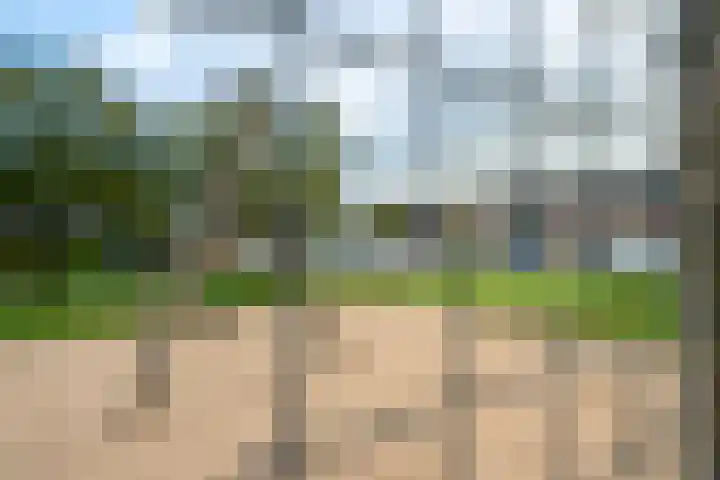 Regentenland 41 Houten thumbnail 38