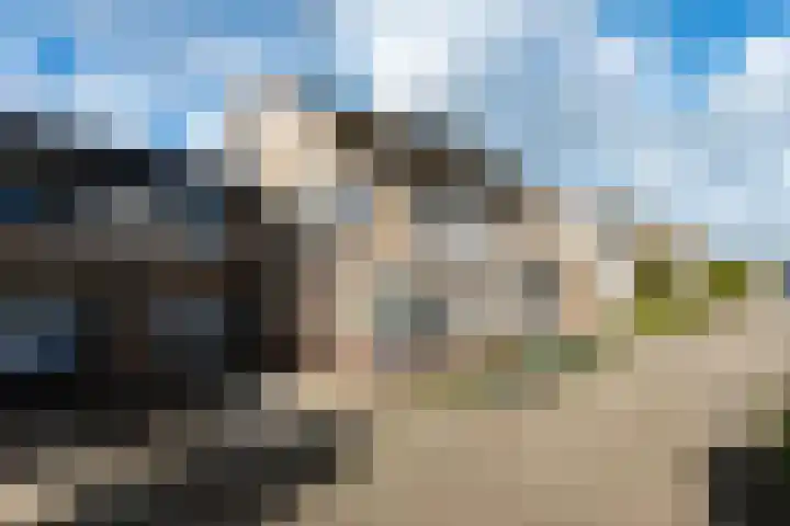 Regentenland 41 Houten thumbnail 39