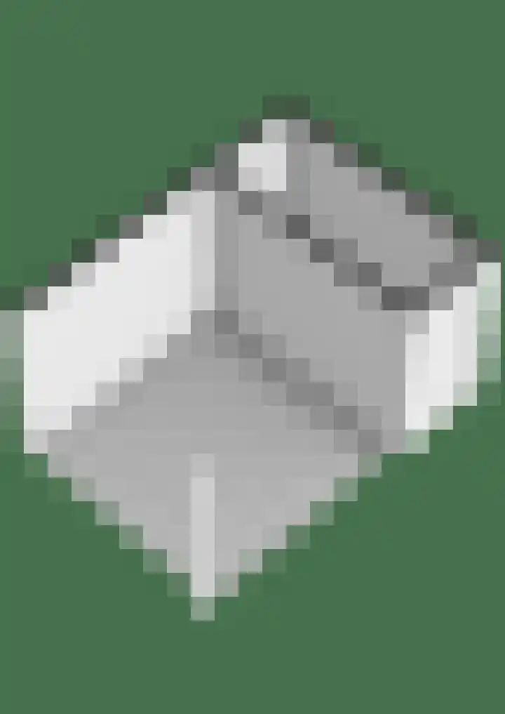 Regentenland 41 Houten thumbnail 48