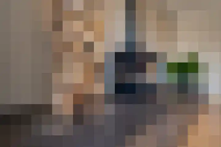 Regentenland 41 Houten thumbnail 5
