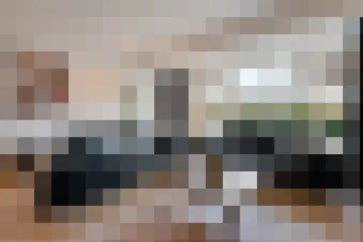 Regentenland 41 Houten thumbnail 6