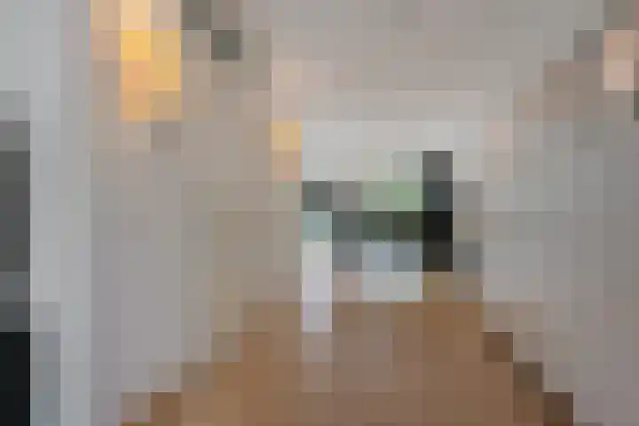 Regentenland 41 Houten thumbnail 7