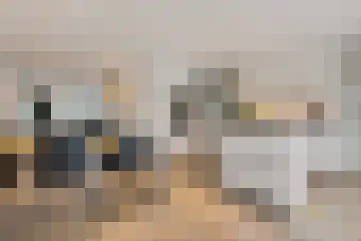 Regentenland 41 Houten thumbnail 8