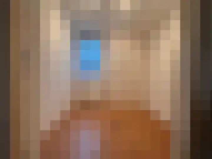 Regentenstraat 15 Sluiskil thumbnail 11