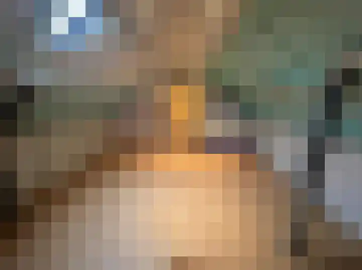 Regentenstraat 15 Sluiskil thumbnail 12
