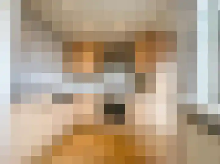 Regentenstraat 15 Sluiskil thumbnail 7